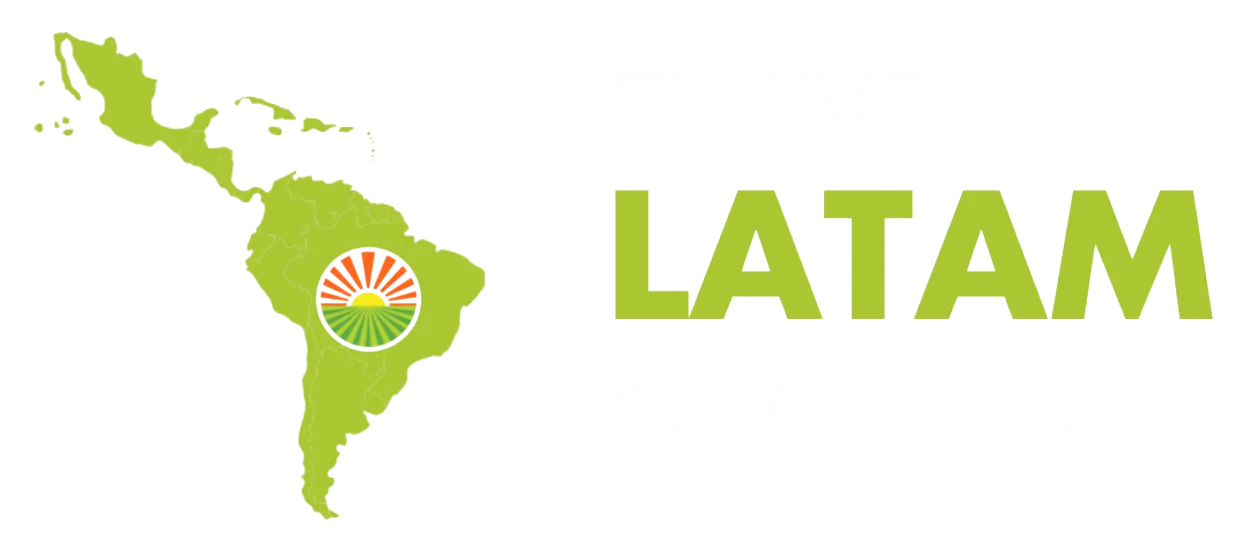 Thrive LATAM Challenge